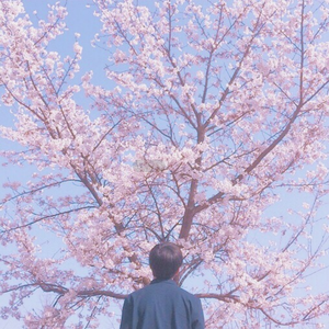 草逼动🔞🔞流
