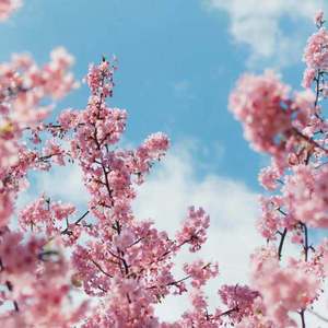 草逼动🔞🔞流
